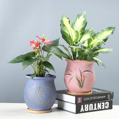 薄荷金边吊兰栀子花专用花盆陶瓷大号创意个性室内植物花器带托盘