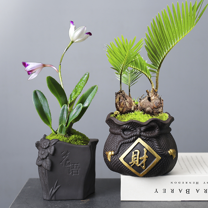 创意个性紫砂花盆陶瓷小老庄肉肉