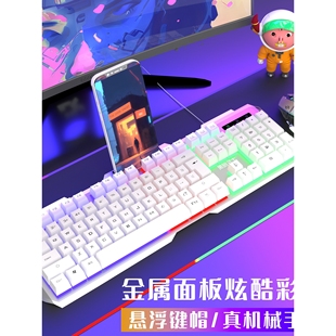 办公游戏电竞笔记通用USB外设电 双飞蛇有线键盘机械手感键鼠套装