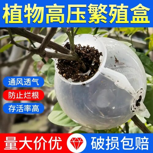 广朗植物繁殖高压盒高空生根器