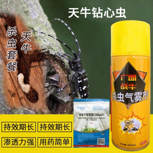 天牛专用杀虫剂树洞虫药