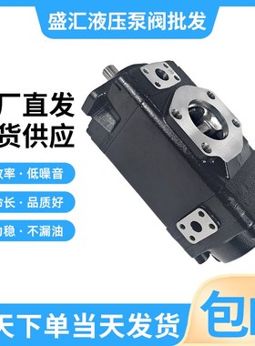 替代派克丹尼逊伺服泵T67CCCAT-B20-B22-3R32-AS1MY双联叶片液压