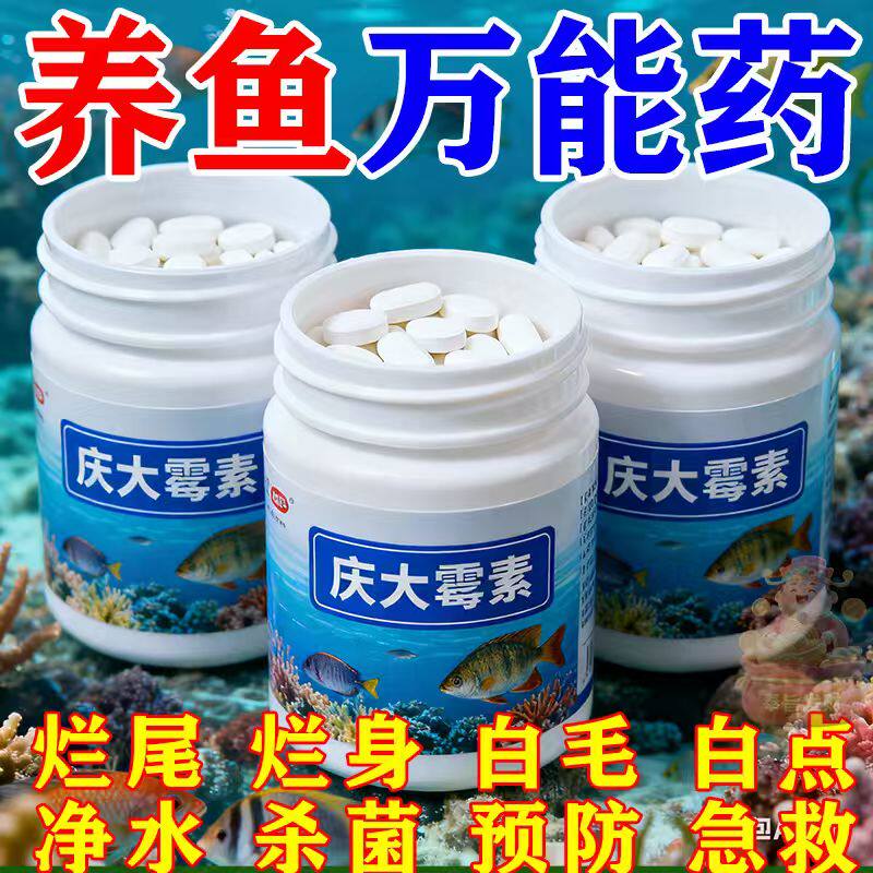 庆大霉素鱼病专用药烂身烂尾鱼病白点白毛掉磷蒙眼净水降垢消臭