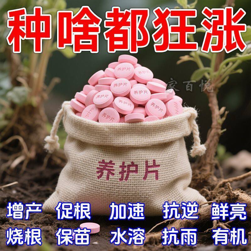 植物通用型营养缓释片肥料氮磷绿植种花养花肥家用果蔬盆栽营养液