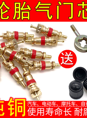 美式纯铜气门芯汽车轮胎气门针扳手钥匙电动自行车摩托真空胎嘴帽