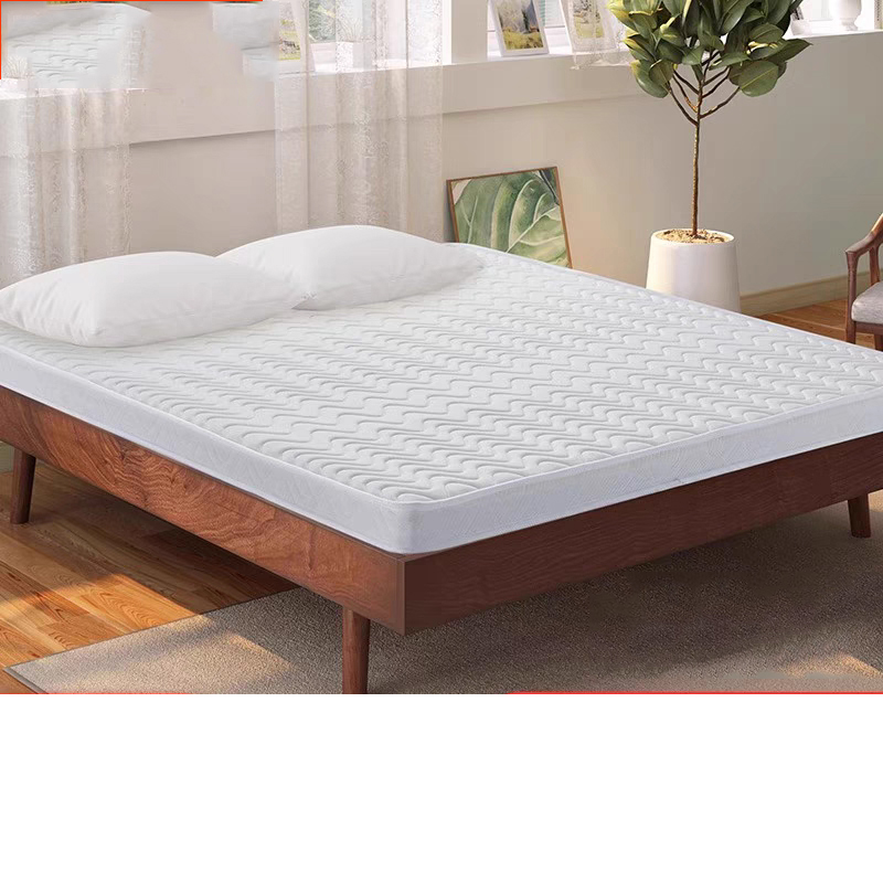 齐昱棕垫床垫椰棕硬垫儿童天然棕榈床垫偏硬护腰护脊椎软床垫加硬