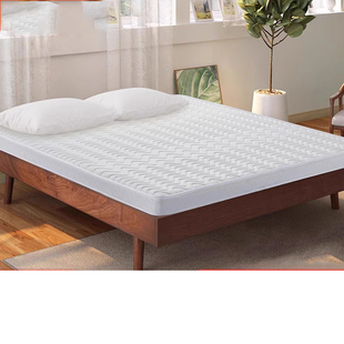 齐昱棕垫床垫椰棕硬垫儿童天然棕榈床垫偏硬护腰护脊椎软床垫加硬