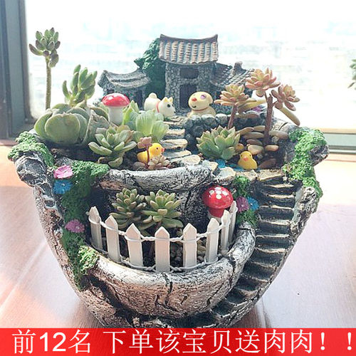 多肉植物组合盆栽创意拼盘花盆多少钱 多肉植物组合盆栽创意拼盘花盆价格 小麦优选