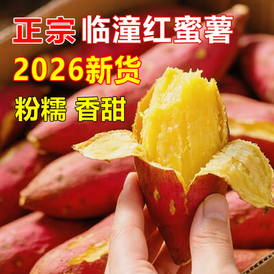 9斤新鲜大果正宗陕西临潼板栗红薯沙地番薯农家地瓜黄心香甜蜜薯3
