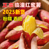 9斤新鲜大果正宗陕西临潼板栗红薯沙地番薯农家地瓜黄心香甜蜜薯3