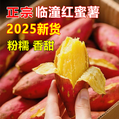 9斤新鲜大果正宗陕西临潼板栗红薯沙地番薯农家地瓜黄心香甜蜜薯3