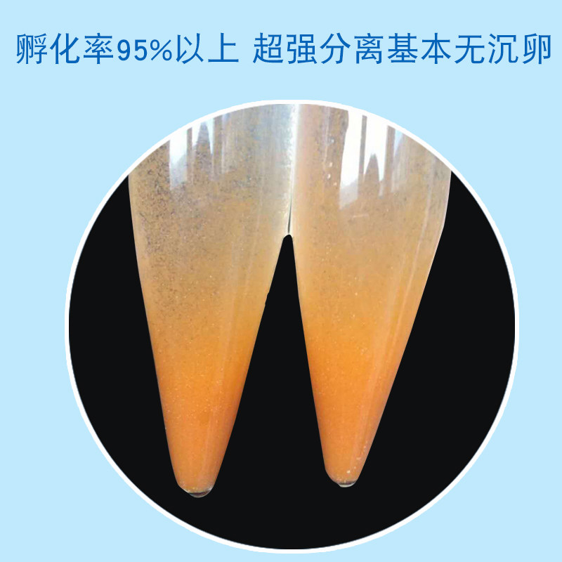 红姐牌新卵细虾卵可孵化丰年虾卵卤虫卵燕鱼斗鱼七彩水母孔雀饲料|ruв категории животное/Животное питание и принадлежностей, аквариум мира, декоративные рыбы кормов - от Buy2taobao.com для оказания профессиональной услуги покупки агента Taobao