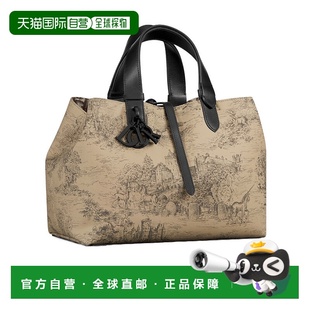 花色 DIOR AW2024 M2821SZCKM918 中号徽标手提包 女士手提包