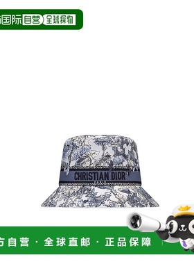 DIOR 女士帽子 CPB6022XDBCC500 AW2024 灰色 D-Bobby Dior Chard