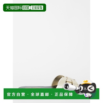 1h可退 潮奢 Saint Laurent 圣罗兰 女士 Tribute 编织金属感皮质