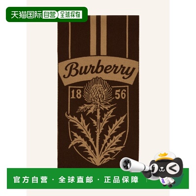 BURBERRY 男士围巾 100308636515000 CO 花色 scarf博柏利