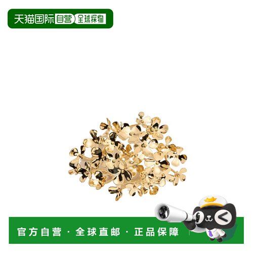CHRISTIAN DIOR 女士饰品 V1994WOMMTD300 AW2026 支付后1h可退
