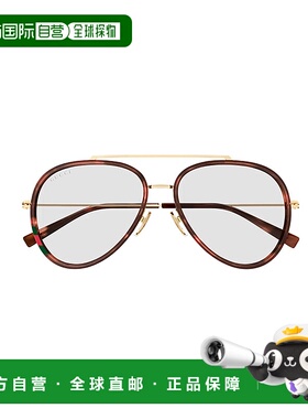 GUCCI 男士太阳镜 GG1981S006 AW2025 棕色 1OIR5C00A古驰