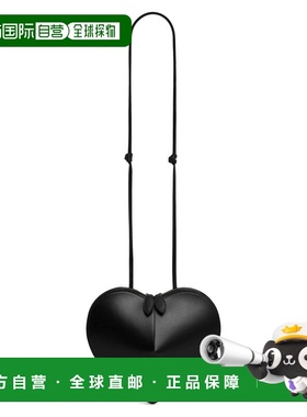 ALAIA 女士斜挎包 AA1P003C0Y75999 SS2024 黑色 Black leather L