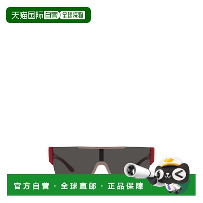 BURBERRY 男士太阳镜 BE4291404787 CO 浅棕色 BURBERRY Sunglass