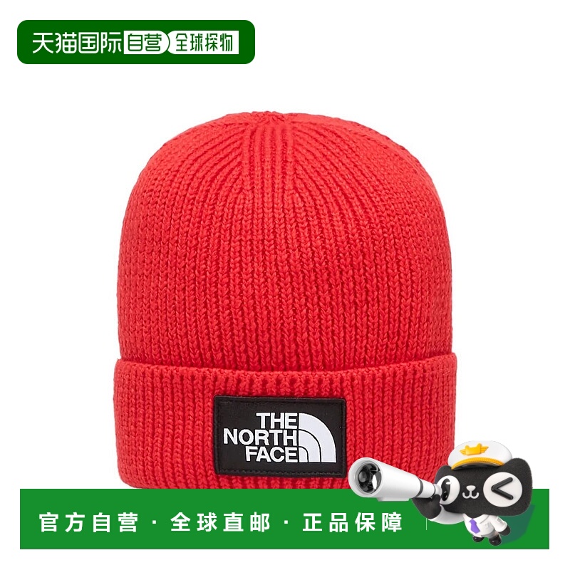 THE NORTH FACE 男士帽子 NF0A8CHE6821TNF AW2025