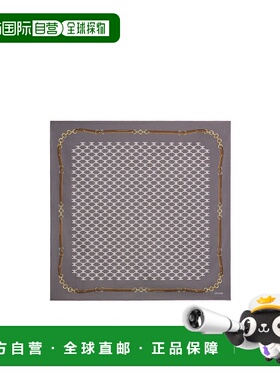 CELINE 女士围巾 2AWB60ZV110GE CO 灰色 徽标方巾