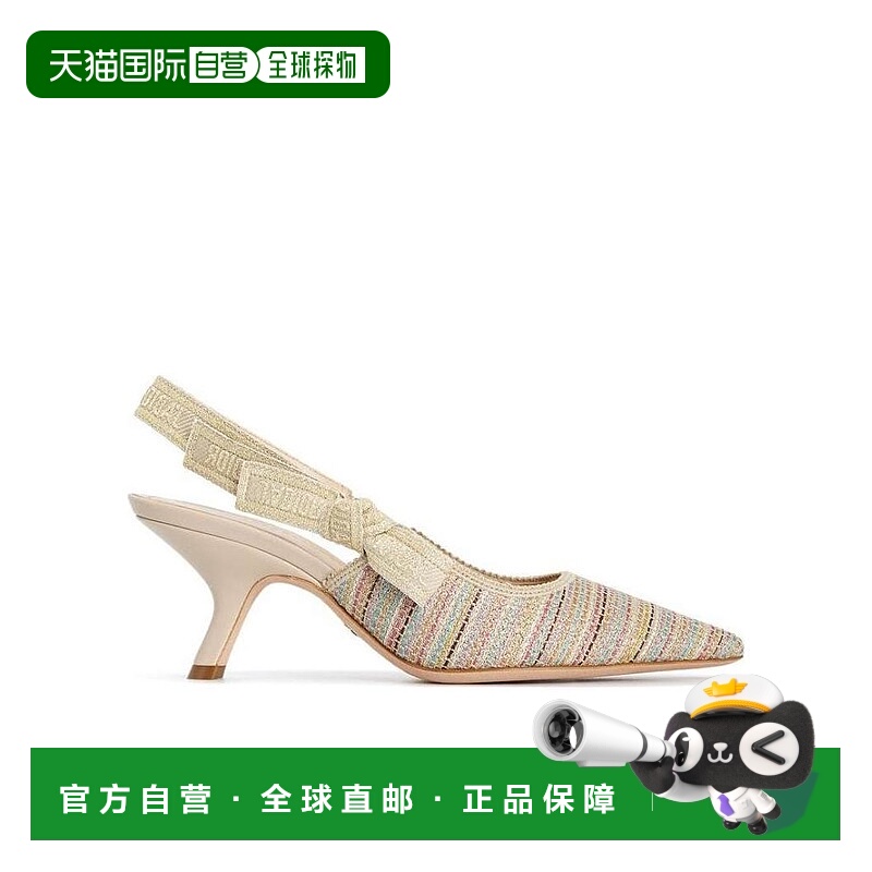 DIOR 女士高跟鞋 KCP866MLU72K AW2021 花色 尖头高跟鞋