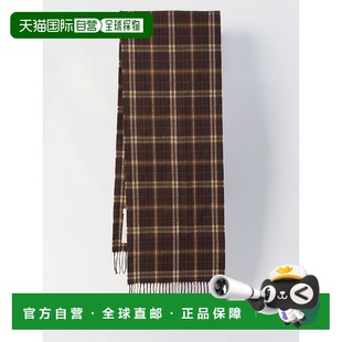 AW2025 CELINE 2AWU40S3919CV 围巾 棕色 男士