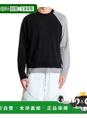 Y-3 男士卫衣 JX7331 SS2025 灰色 圆领卫衣长袖