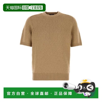 PRADA 男士针织衫 UMF271SOOO1883F0040 SS2026 驼色