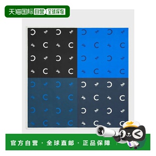 SS2026 2AW902Q2307NU 蓝色 女士围巾 CELINE