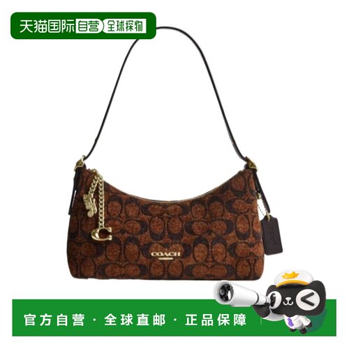 COACH 女士手提包 CFN74IMA7U SS2026 棕色 拉链【付后1h可退】