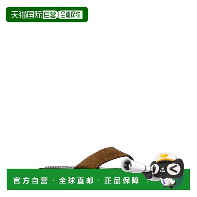 1h可退 THE ROW 男士凉鞋 F2166L805CIG AW2026 驼色 Biscuit sue