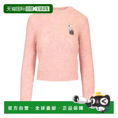 1h可退 LOEWE 女士针织衫 S359Y14KI97140 SS2026 粉红色 Loewe b