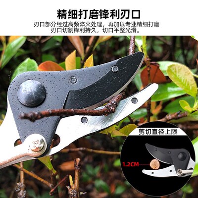 摘果器剪刀加长高空剪摘枣葡萄水果神器花椒修枝园林家用农用工具