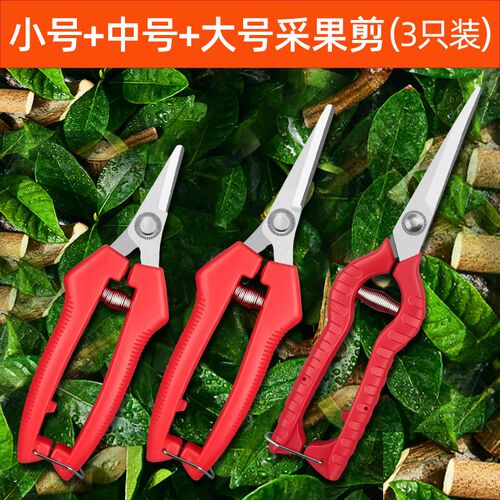 园艺剪刀葡萄专用剪刀采摘花椒专用神器修花剪刀修枝剪果树采果剪