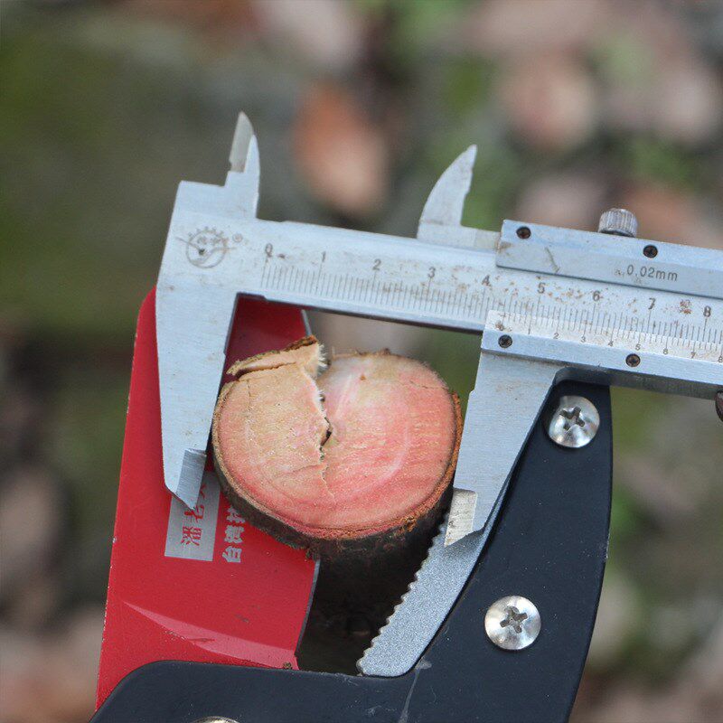 进口粗枝高枝修枝剪树枝果树绿化园艺剪刀伸缩大力剪园林工具