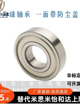 单盖式/深沟球轴承 BAU6003Z/6004Z/6005Z/6203Z/6204Z/6205Z-B-J