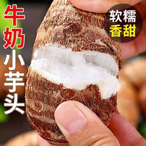 云南牛奶小芋头新鲜当季红毛芋头小香芋当季蔬菜芋艿香芋农家软糯