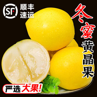高端果冻冬蜜黄晶果新鲜四季牛奶果黄金大果孕妇整箱稀有顺丰包邮