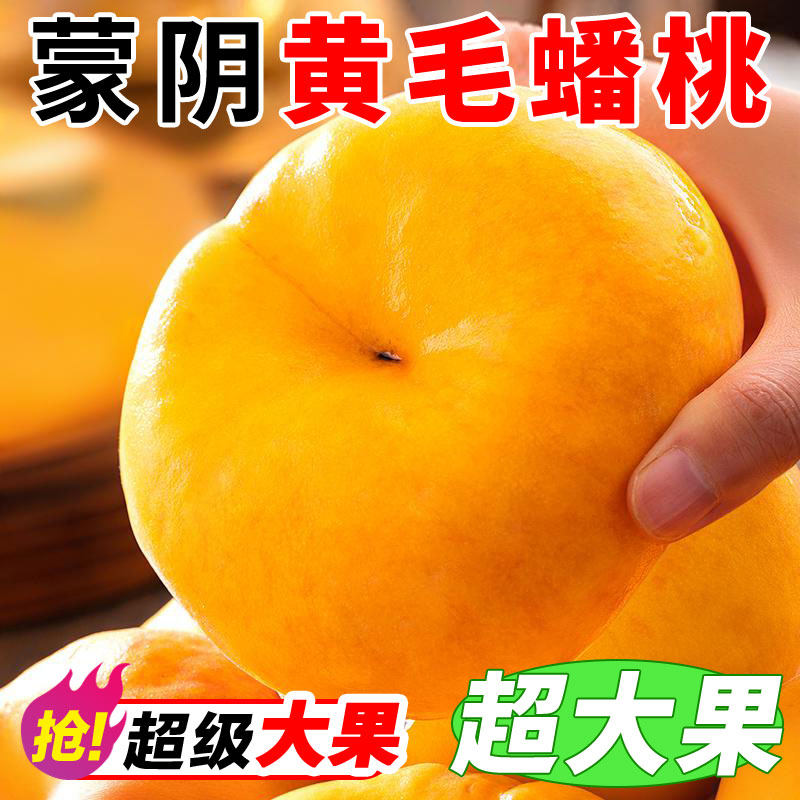 蒙阴黄金毛蟠桃毛桃扁桃5斤顺丰