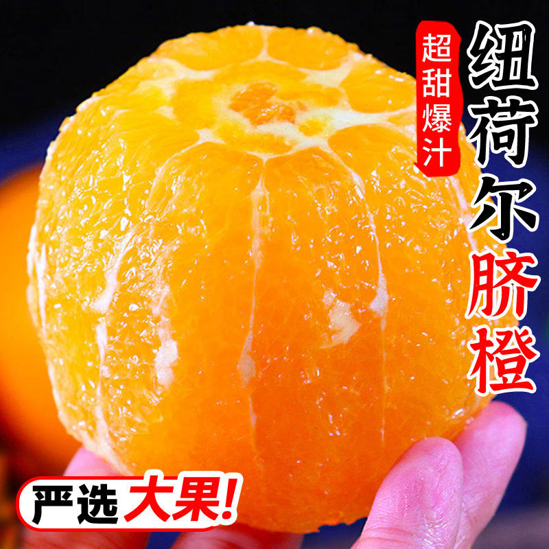 【日限一单】脐橙60mm+11-13个装
