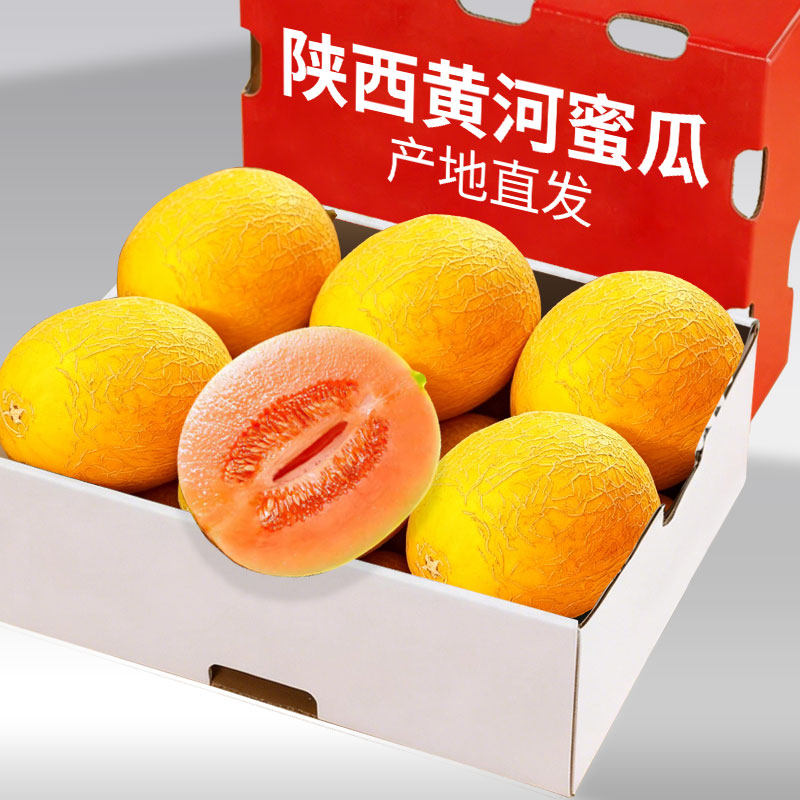 沙漠黄河蜜瓜红肉甜瓜新应季水果口感脆甜农家现摘现发