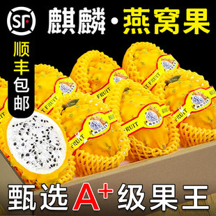 新鲜燕窝果麒麟果大果罕见稀有海南黄金火龙果甜孕妇水果整箱礼盒