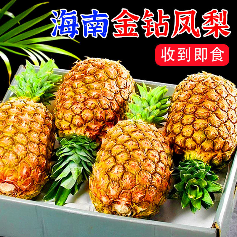 新品限时降价!金钻凤梨菠萝香甜