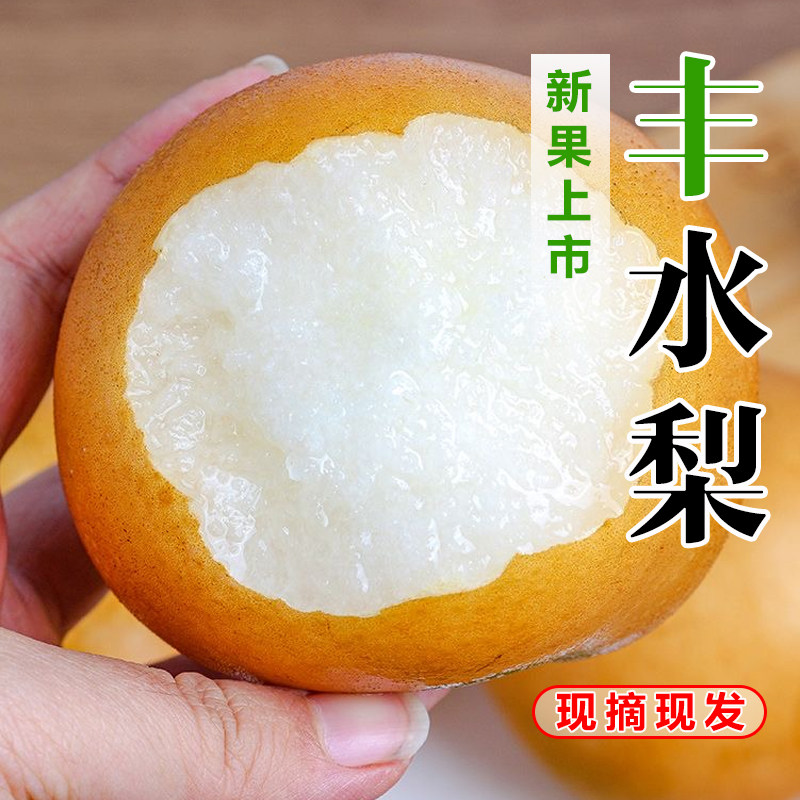 正宗丰水梨脆甜新鲜整箱包邮