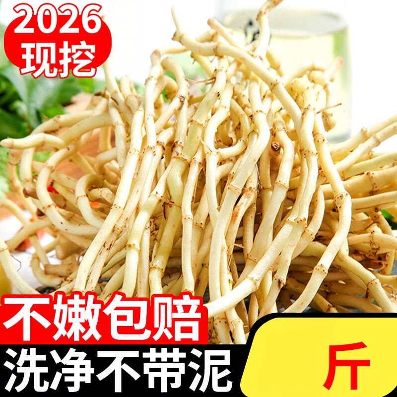 新鲜鱼腥草现摘折耳根嫩根当季时令蔬菜凉拌猪鼻孔农家特产