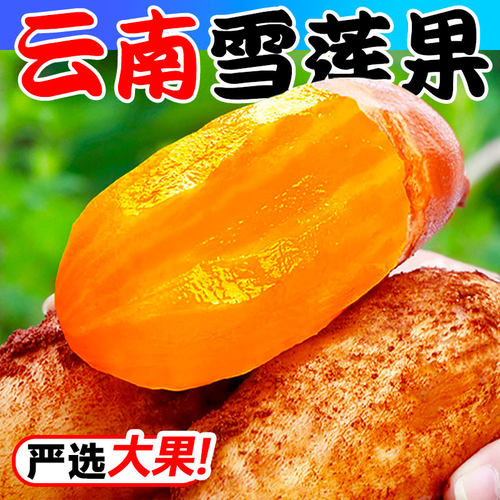 【限购一件】天山雪莲果3斤装