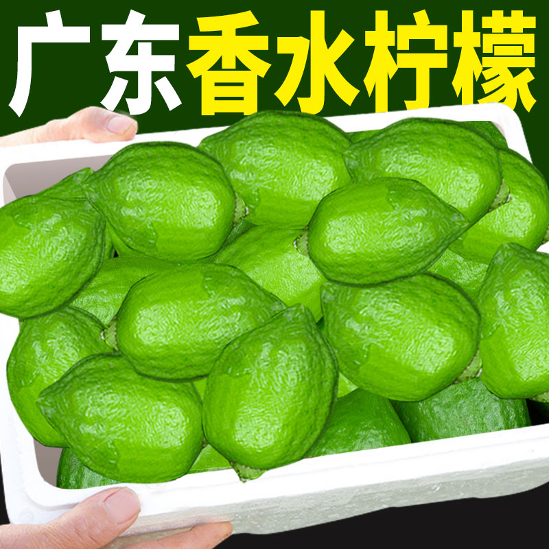广东香水新鲜正宗青柠檬无籽超甜包邮季水果现摘绿色现发整箱