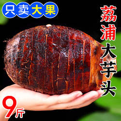 广西荔浦大芋头9斤新鲜香芋正宗农家大芋头槟榔芋蔬菜毛芋艿包邮